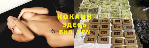 прущие крисы Аркадак