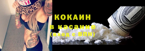 прущие крисы Аркадак