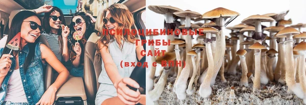 спиды Армянск