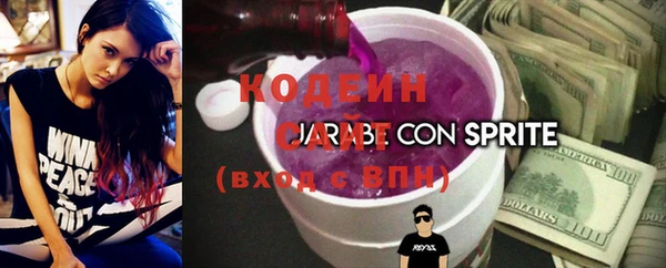 шишки Осташков