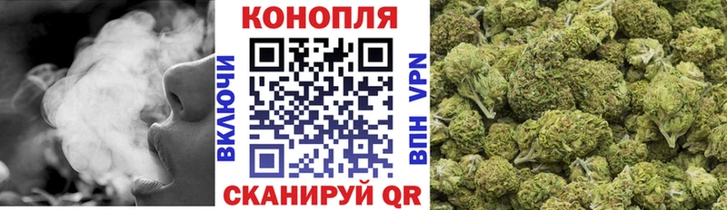 Купить где  Алексин  Шишки марихуана OG Kush 